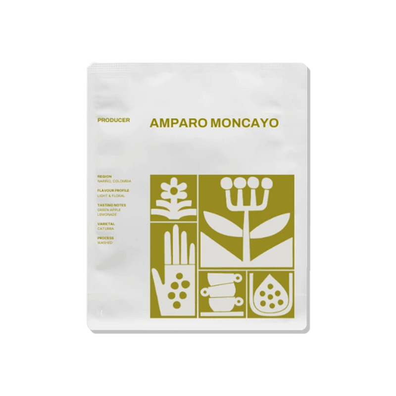 Amparo Moncayo | Colombia