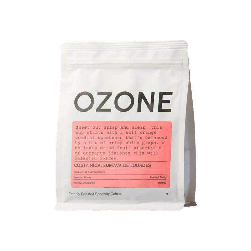 Sumava de Lourdes Los Pinos