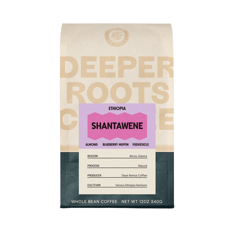 Ethiopia Shantawene by Deeper Roots