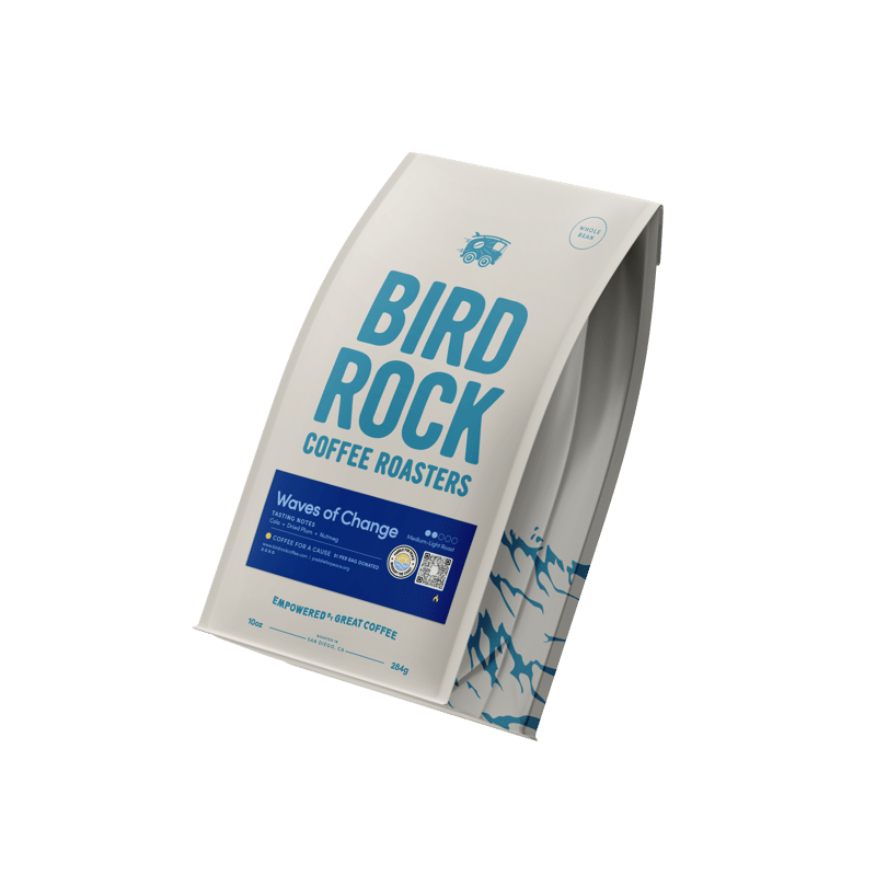 Waves of Change by Bird Rock
